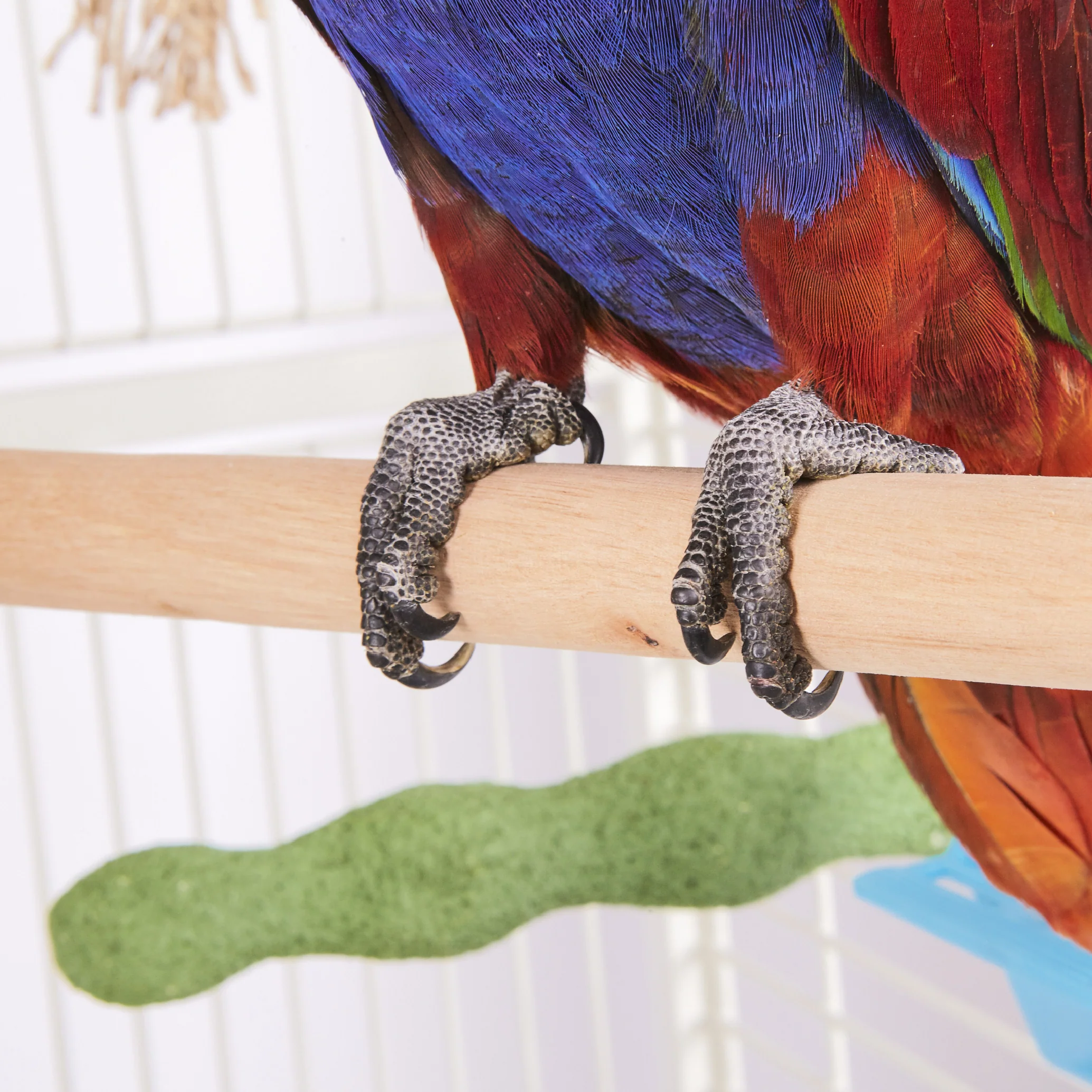 Wooden Bird Perch - Image 2