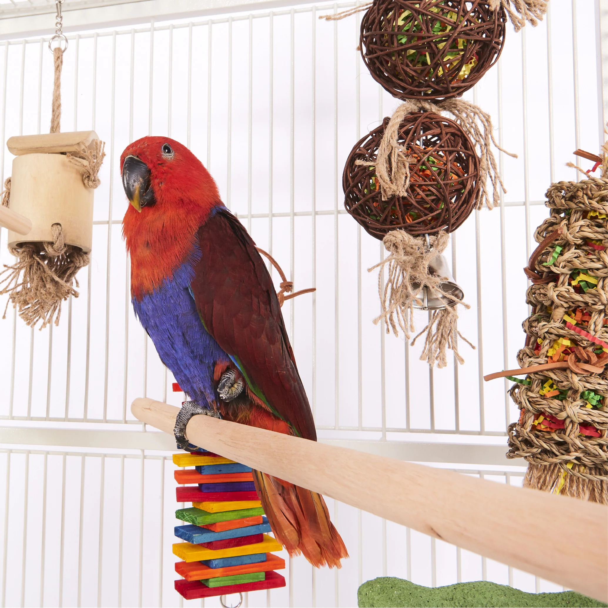 Wooden Bird Perch - Image 3