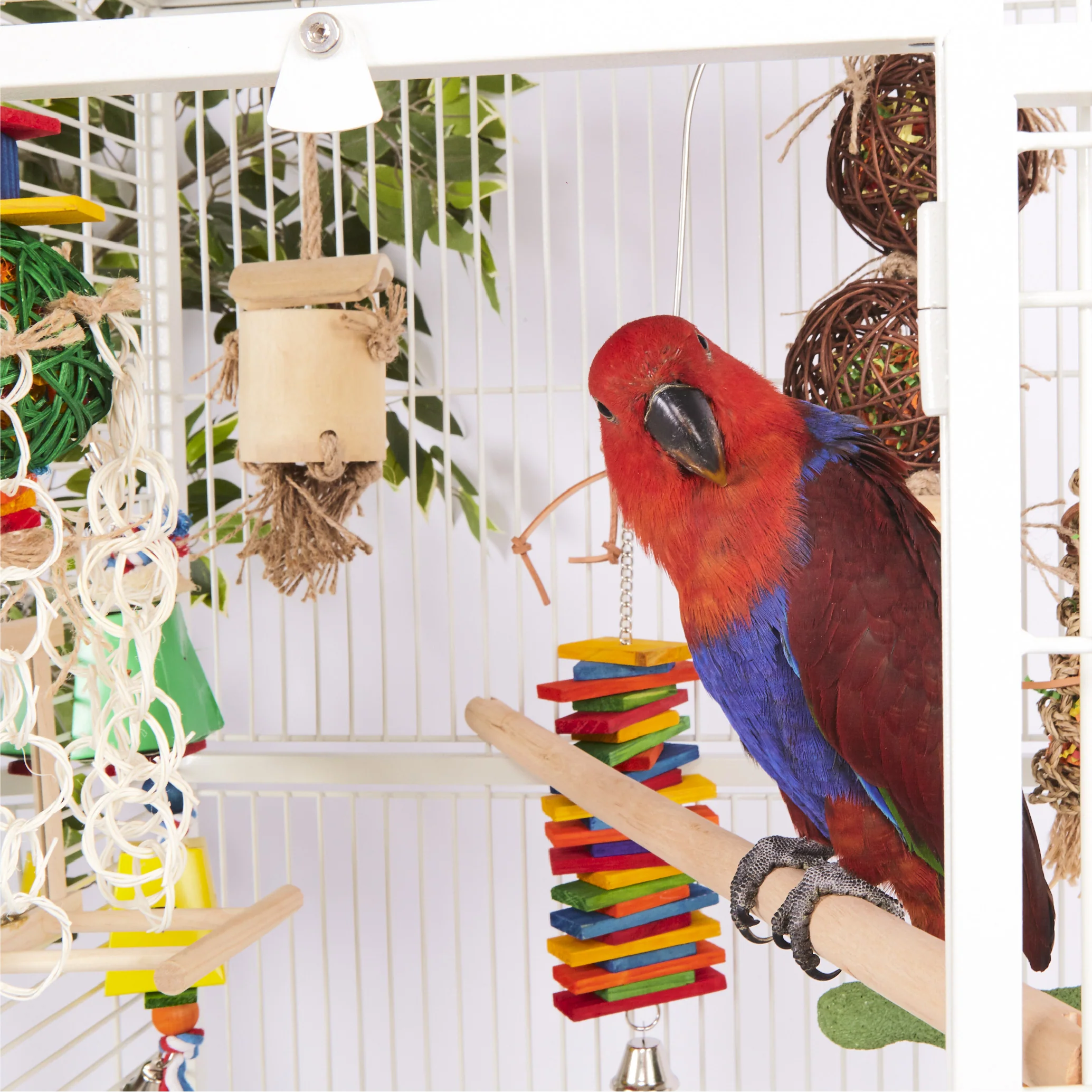 Wooden Bird Perch - Image 6
