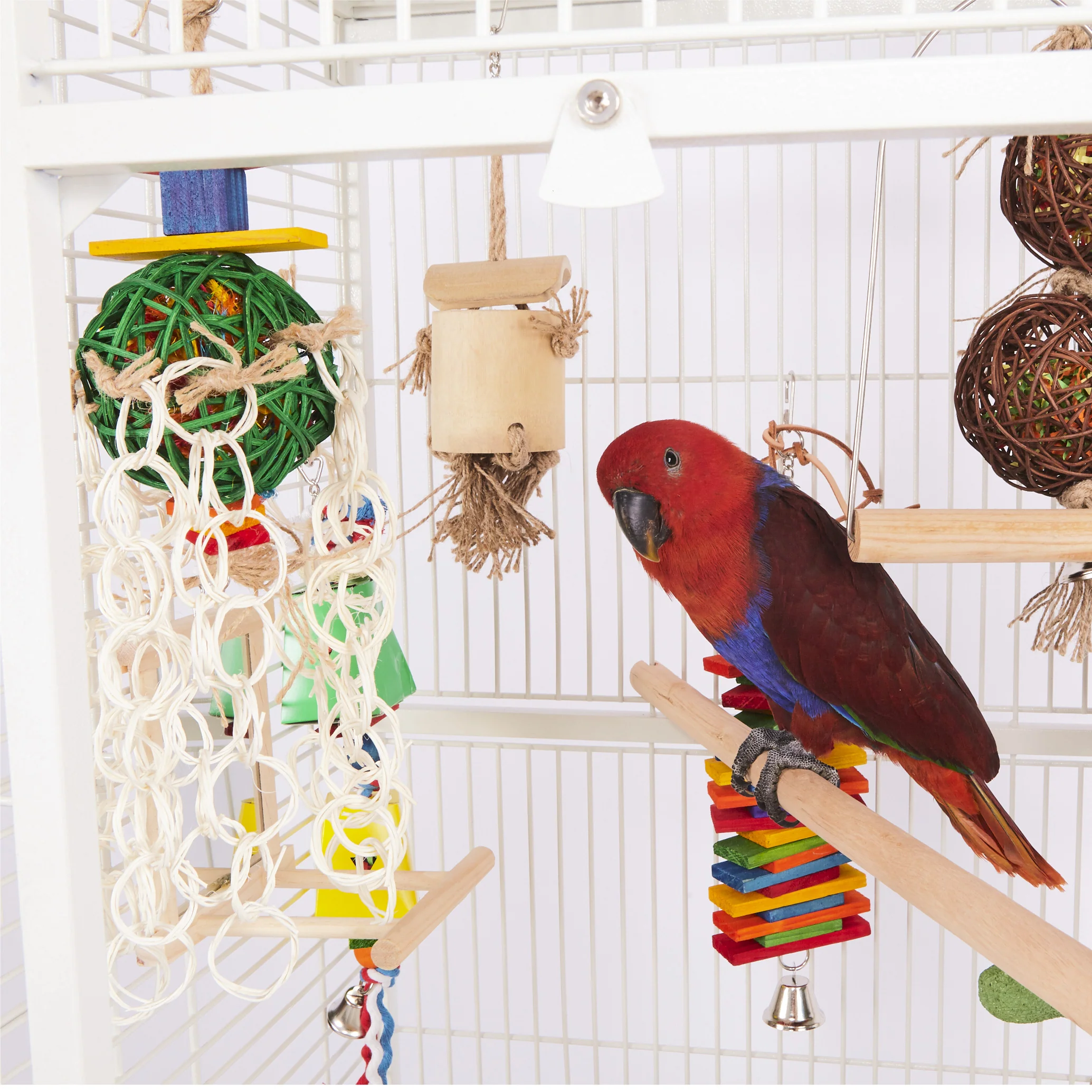 Wooden Bird Perch - Image 8