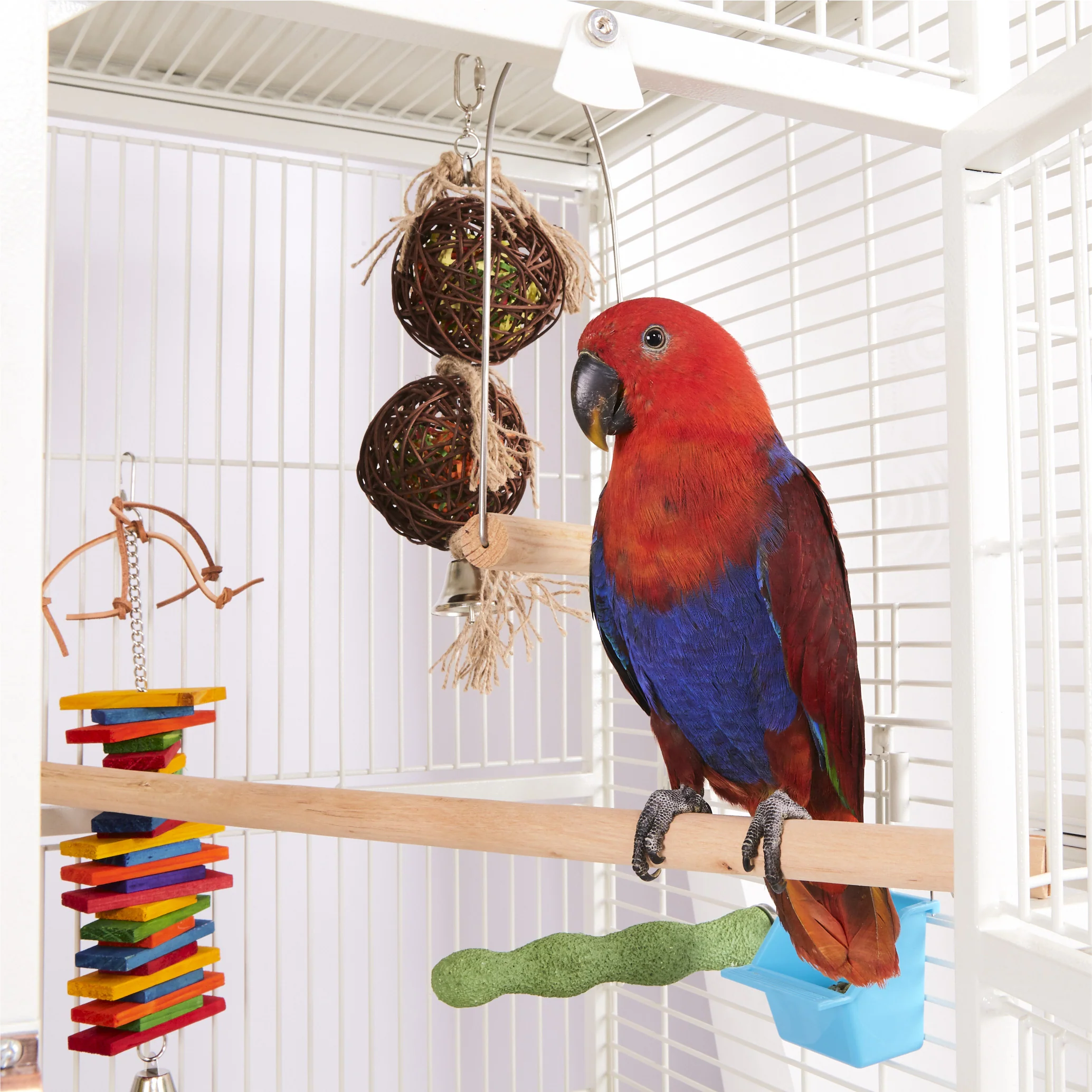 Wooden Bird Perch - Image 9